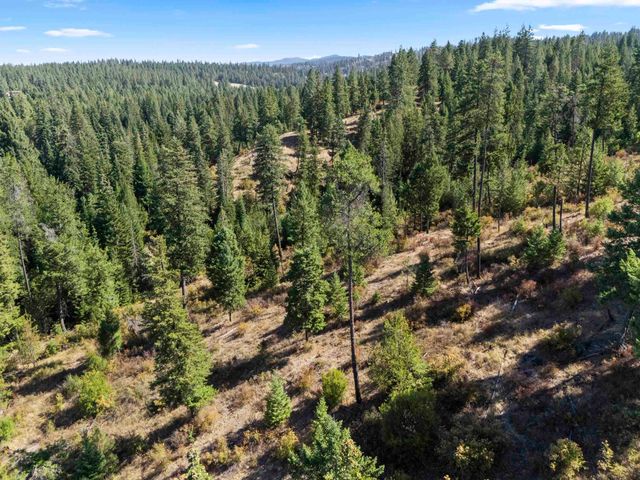 TBD E Antler Rd, Chattaroy, WA 99003