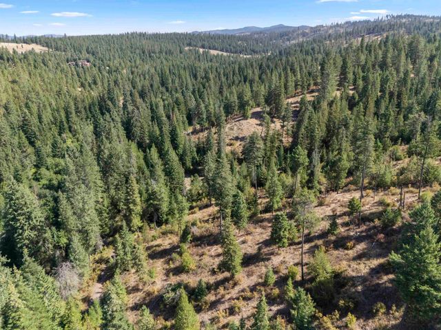 TBD E Antler Rd, Chattaroy, WA 99003