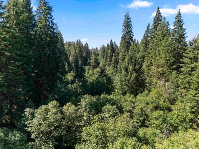 TBD E Antler Rd, Chattaroy, WA 99003