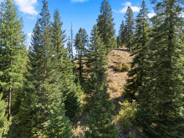 TBD E Antler Rd, Chattaroy, WA 99003