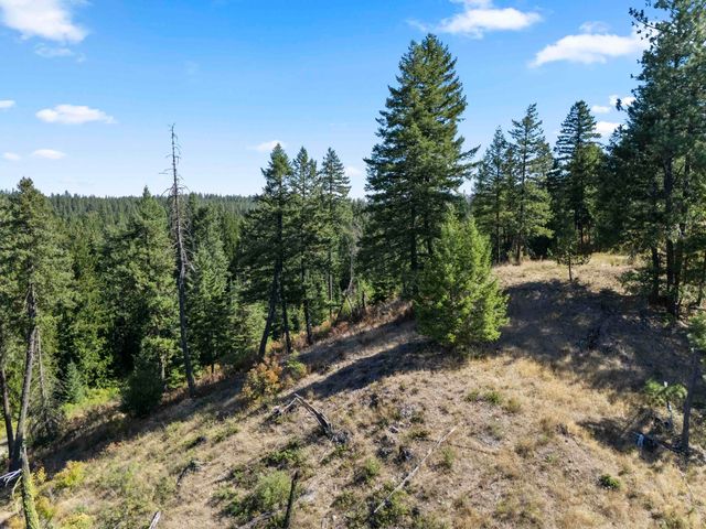 TBD E Antler Rd, Chattaroy, WA 99003