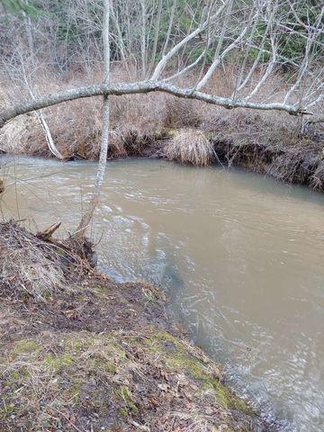 TBD E Antler Rd, Chattaroy, WA 99003