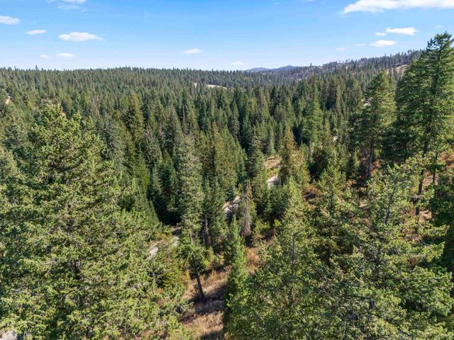 TBD E Antler Rd, Chattaroy, WA 99003