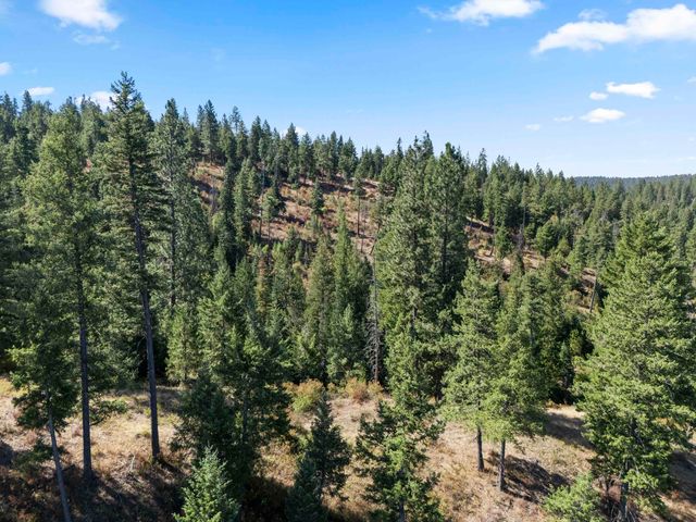 TBD E Antler Rd, Chattaroy, WA 99003