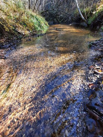 TBD E Antler Rd, Chattaroy, WA 99003