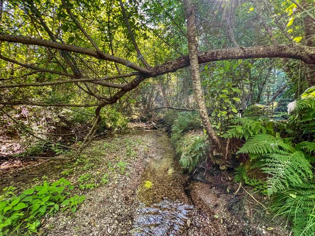 TBD E Antler Rd, Chattaroy, WA 99003