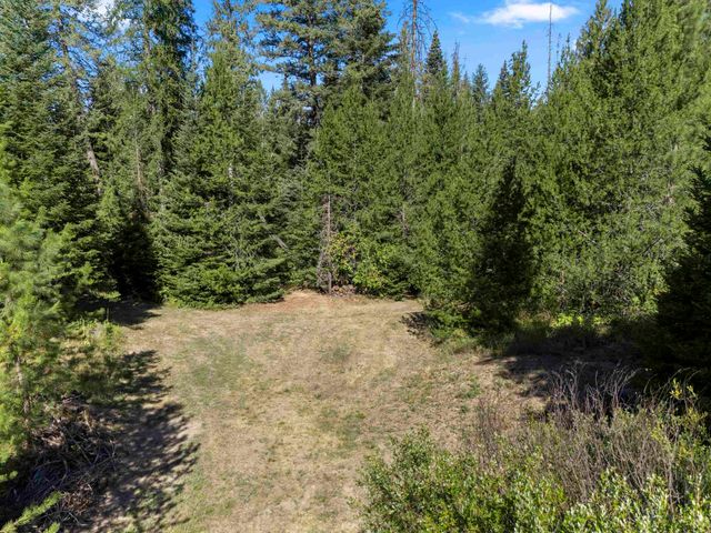 TBD E Antler Rd, Chattaroy, WA 99003