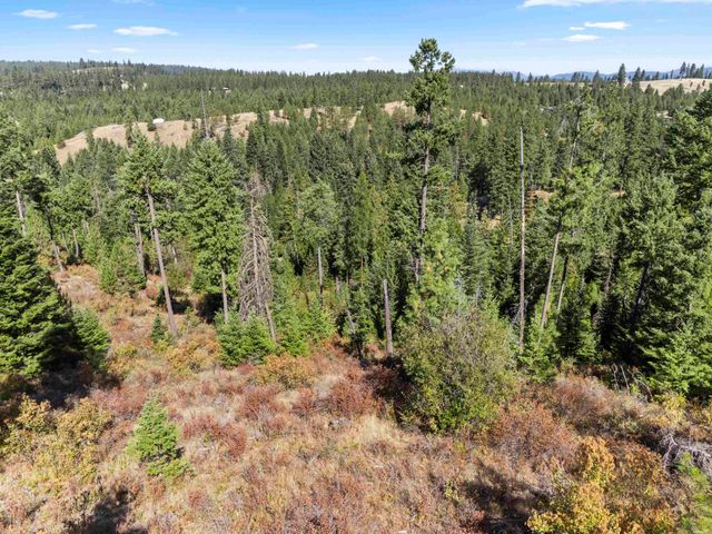 TBD E Antler Rd, Chattaroy, WA 99003