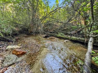 TBD E Antler Rd, Chattaroy, WA 99003