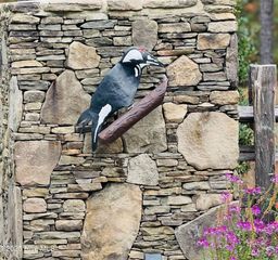 1 Kenilwood Court, Pinehurst, NC 28374