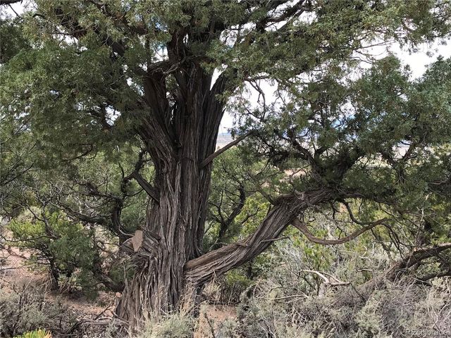 Lot 3621 Mitchell Road, Fort Garland, CO 81133