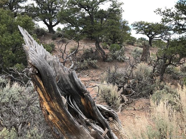 Lot 3621 Mitchell Road, Fort Garland, CO 81133