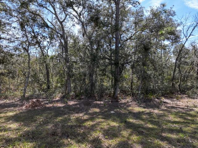 NE 65TH STREET, Williston, FL 32696