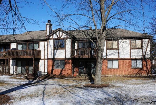 1327 Williamsburg Drive B2, Schaumburg, IL 60193