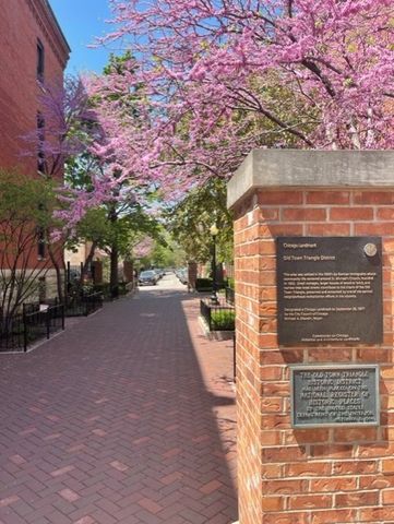 1824 N Lincoln Park West 310, Chicago, IL 60614