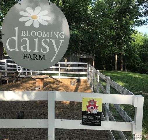 67 Lanchester Court, Cottleville, MO 63376