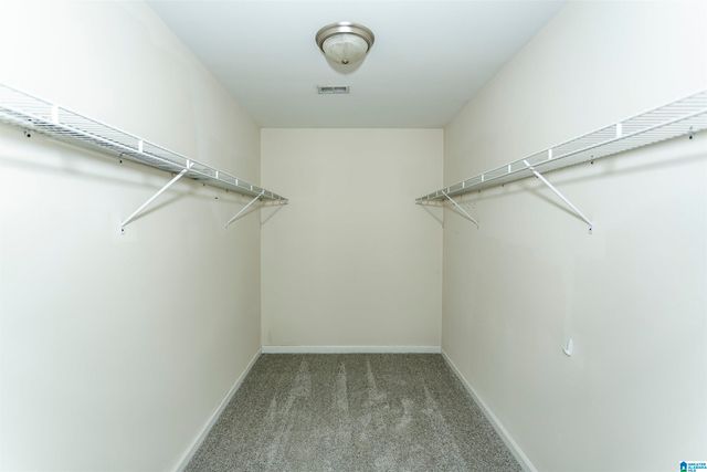 20540 REGENA DRIVE, Mccalla, AL 35111