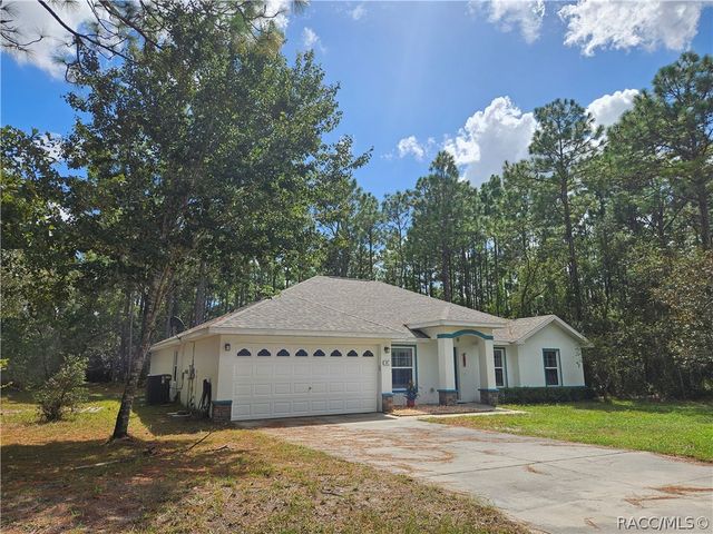 41 Fringetree Street, Homosassa, FL 34446