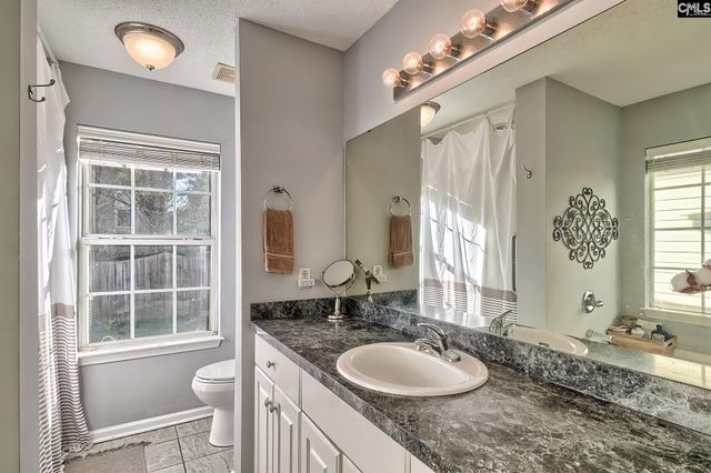 108 Merowey Court, Chapin, SC 29036