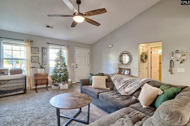 108 Merowey Court, Chapin, SC 29036