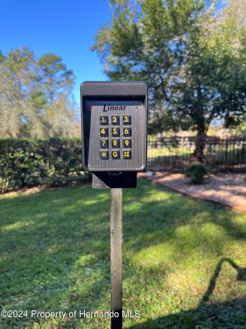 6375 Emanuels Way, Brooksville, FL 34602