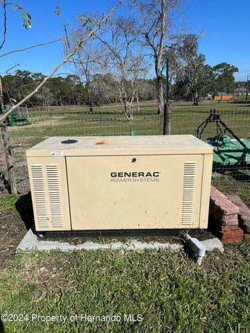 6375 Emanuels Way, Brooksville, FL 34602