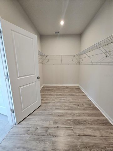 10156 AGAVE COURT, Land O Lakes, FL 34638