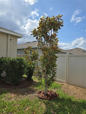 10156 AGAVE COURT, Land O Lakes, FL 34638