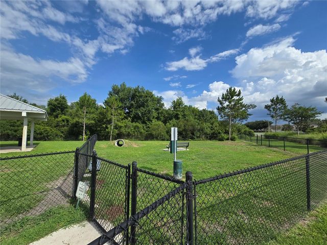 10156 AGAVE COURT, Land O Lakes, FL 34638