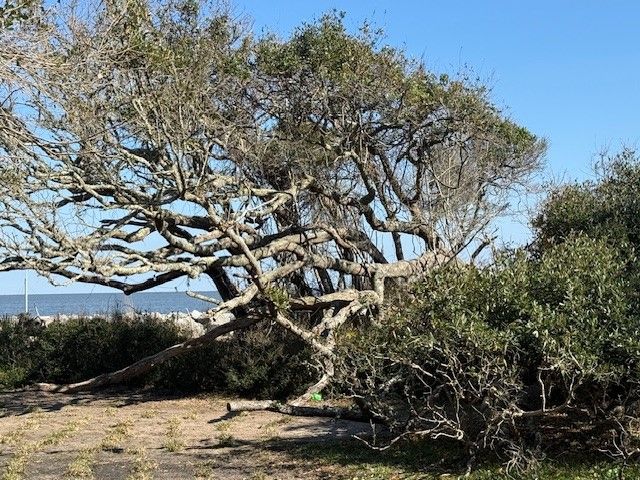 1175 N Beachview Drive 279, Jekyll Island, GA 31527