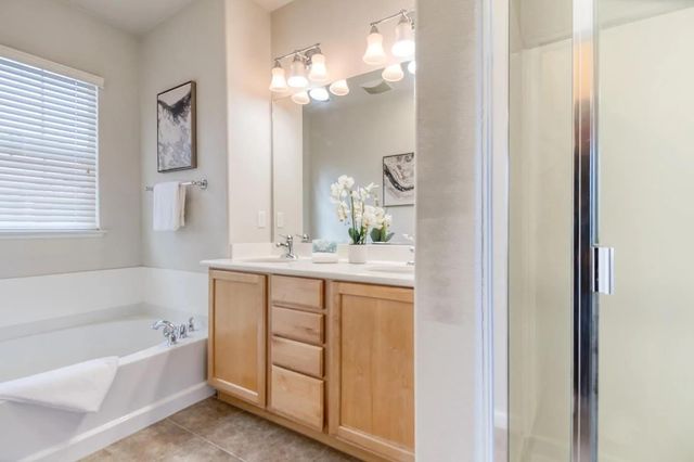 173 S Veracruz Place, Mountain House, CA 95391