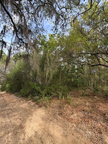 TBD NE 213TH STREET, Fort Mc Coy, FL 32134