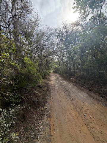 TBD NE 213TH STREET, Fort Mc Coy, FL 32134