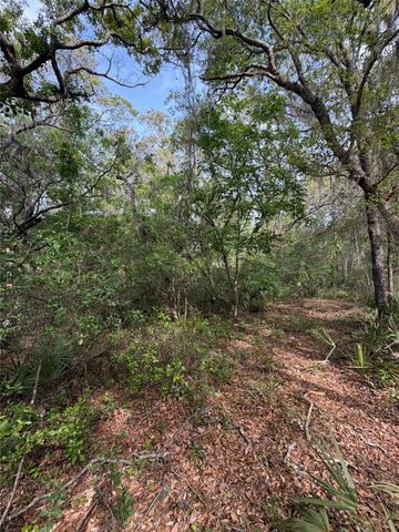 TBD NE 213TH STREET, Fort Mc Coy, FL 32134