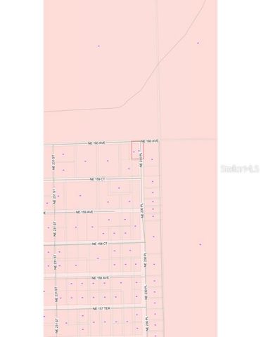 TBD NE 213TH STREET, Fort Mc Coy, FL 32134