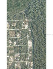 TBD NE 213TH STREET, Fort Mc Coy, FL 32134