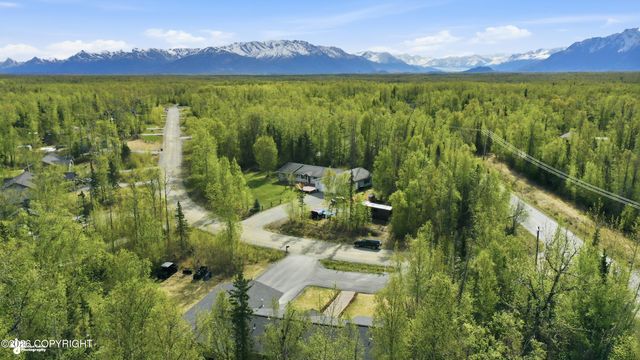 4417 E Mary Martin Drive, Wasilla, AK 99654