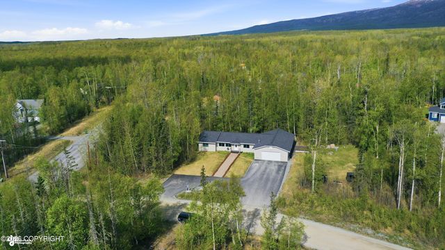 4417 E Mary Martin Drive, Wasilla, AK 99654