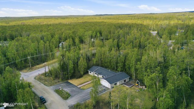 4417 E Mary Martin Drive, Wasilla, AK 99654
