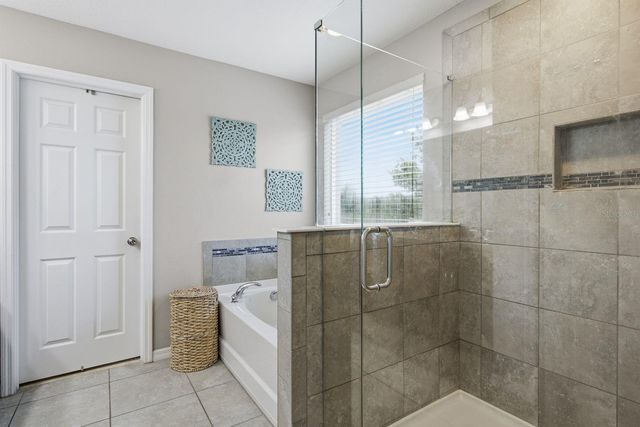 18793 DEER TRACKS LOOP, Lutz, FL 33558