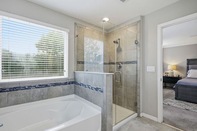 18793 DEER TRACKS LOOP, Lutz, FL 33558