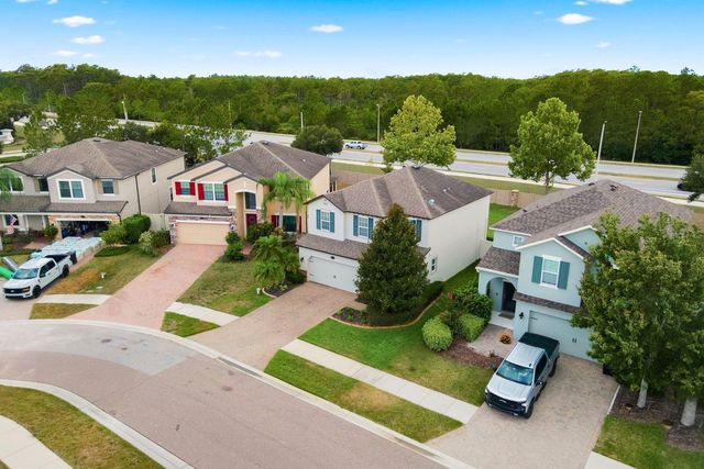 18793 DEER TRACKS LOOP, Lutz, FL 33558