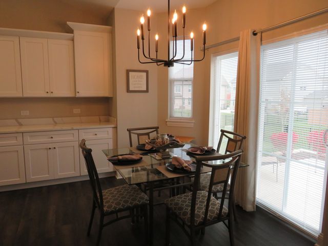 21407 Bay Tree Court, Shorewood, IL 60404