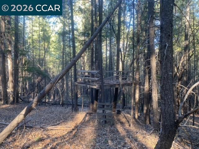 9471 Wildcat Rd, Kelseyville, CA 95451