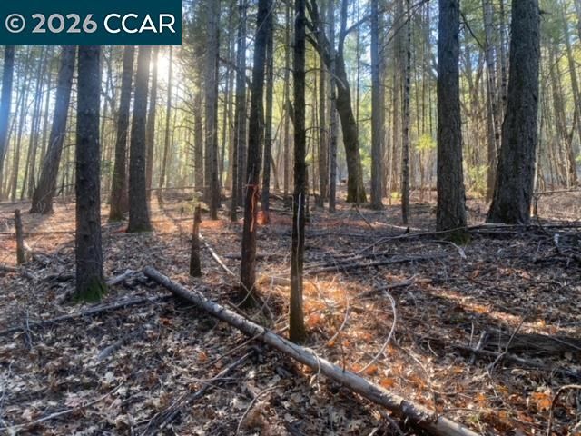 9471 Wildcat Rd, Kelseyville, CA 95451