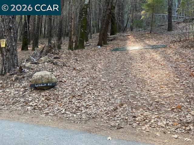 9471 Wildcat Rd, Kelseyville, CA 95451