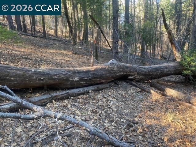 9471 Wildcat Rd, Kelseyville, CA 95451