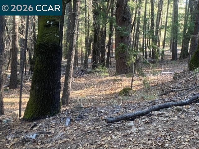 9471 Wildcat Rd, Kelseyville, CA 95451