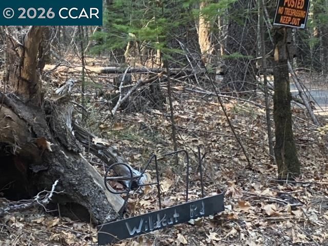 9471 Wildcat Rd, Kelseyville, CA 95451