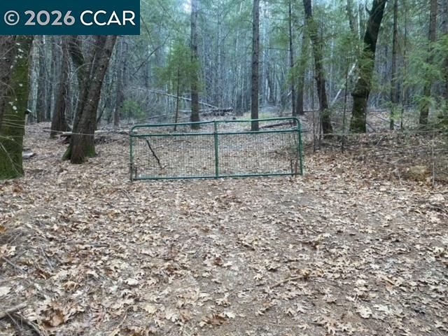 9471 Wildcat Rd, Kelseyville, CA 95451